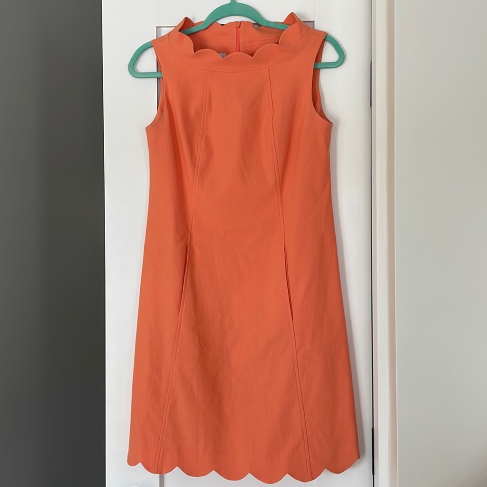Sara Campbell Signature Stretch Scallop Dress